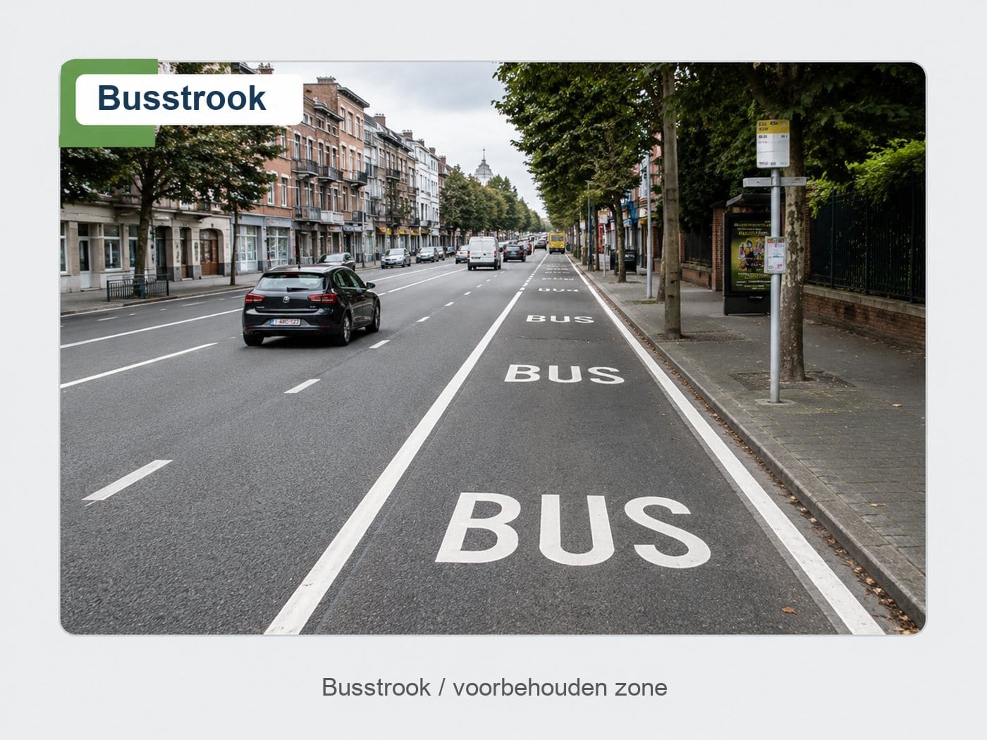 BUS-rijstrook/voorbehouden zone — Dambordmarkeringen