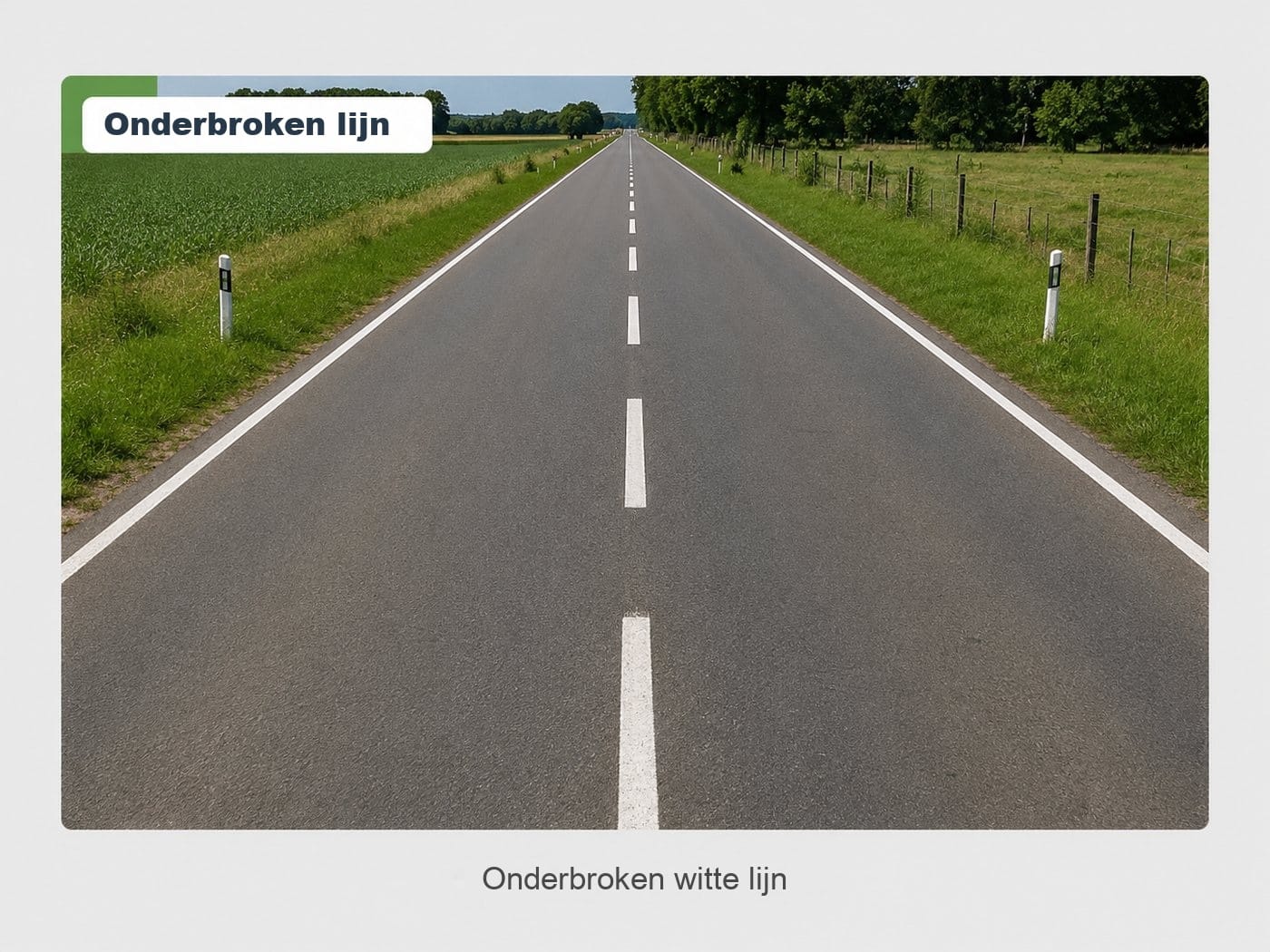 Doorlopende witte lijn